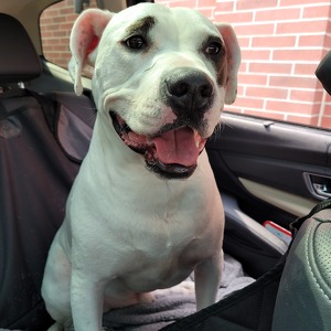 Fundraising Page: Jeannie Maedl